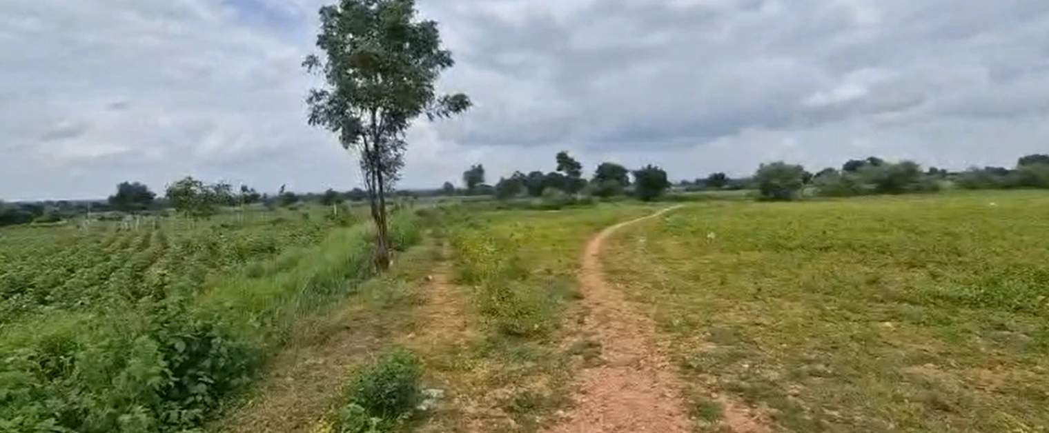 Raju smily, Siddipet, 5-48, Bejgaon, Telangana 502278, India