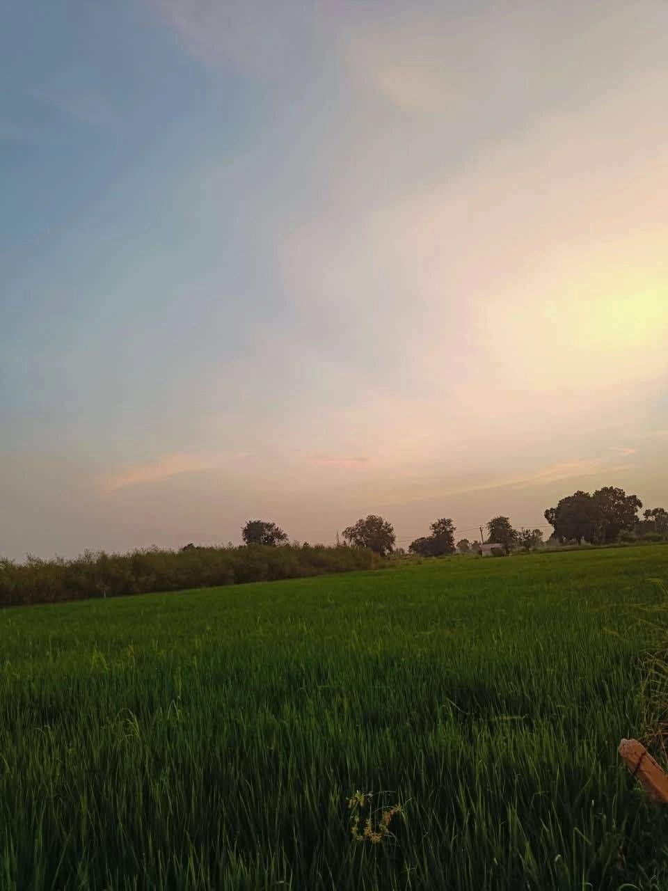 Baraka, Mathura, Uttar Pradesh, India preview 3