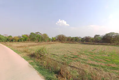 Ranka, Chhattisgarh 491445, India preview 3