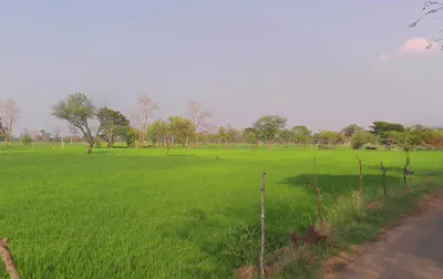 Bhumiya, Chhattisgarh 493221, India preview 3