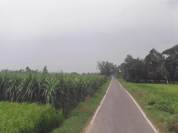 Garh Mukteshwar, Uttar Pradesh 245205, India