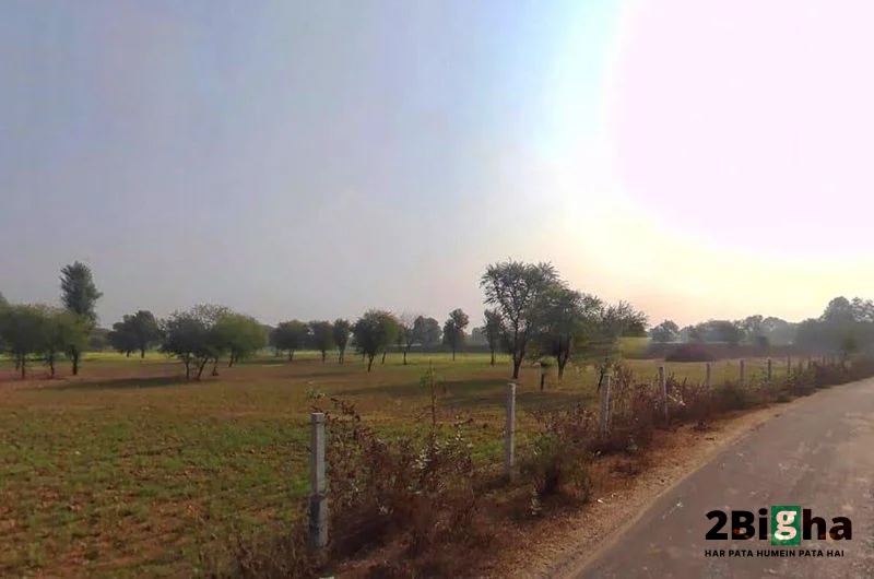 Chalk, Faridpur, Haryana 125103, India preview 2