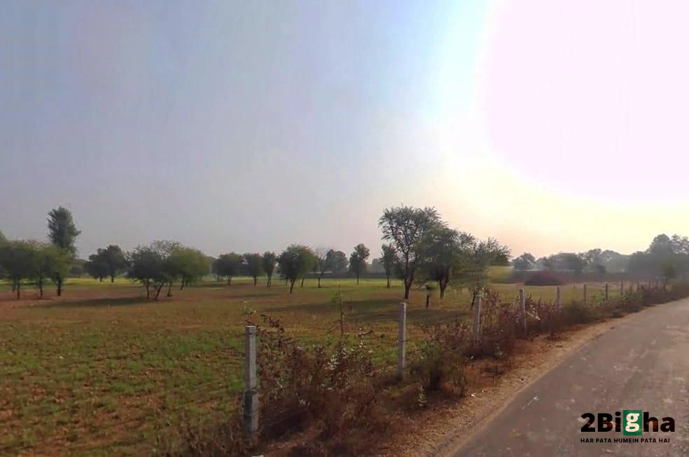 Chalk, Faridpur, Haryana 125103, India