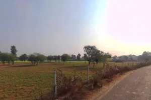 Chalk, Faridpur, Haryana 125103, India preview 2