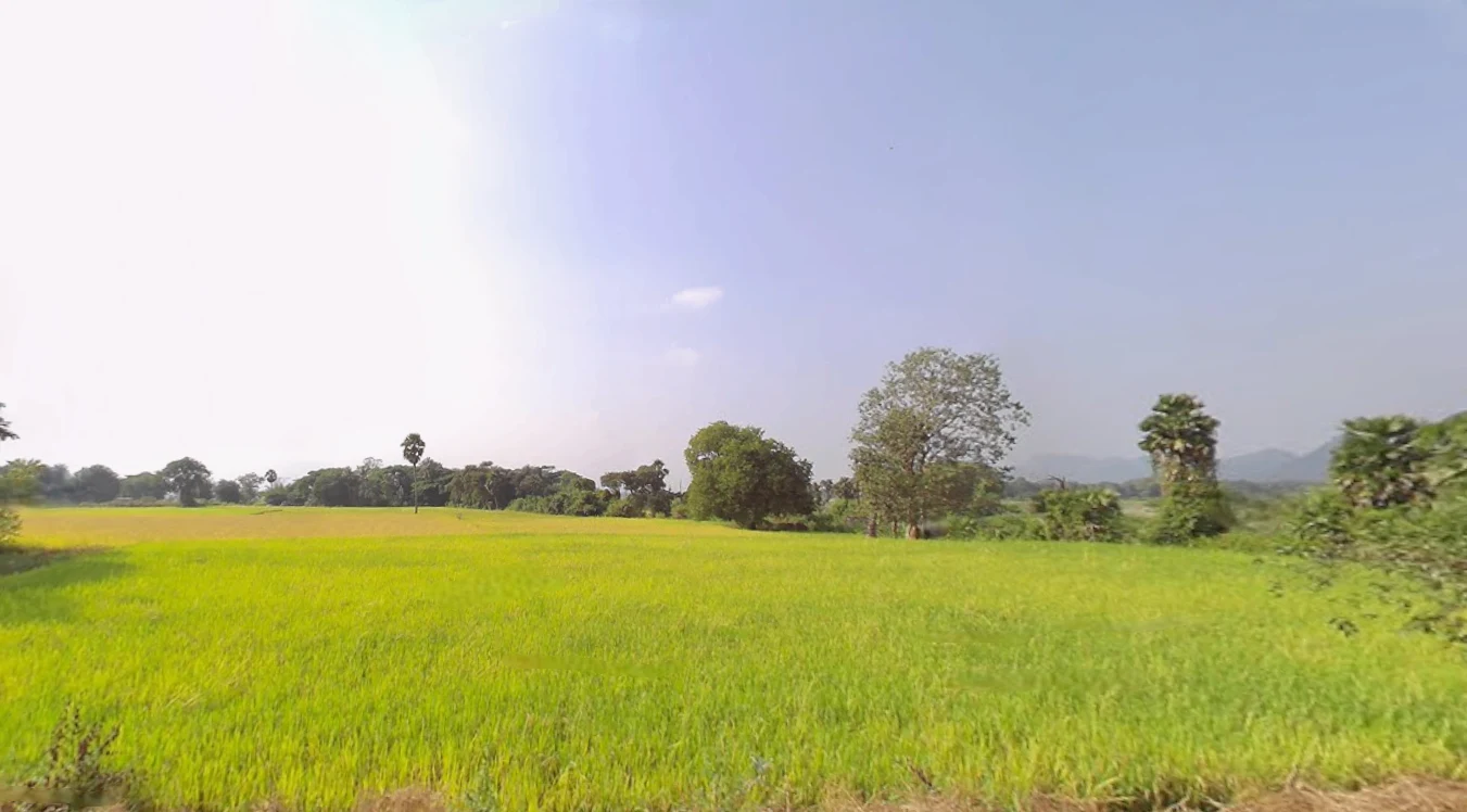 Chantipali, Odisha 768226, India