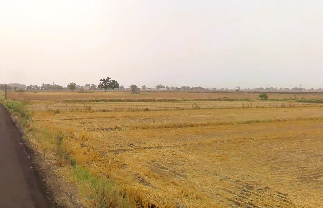 Luhari, Haryana 124108, India