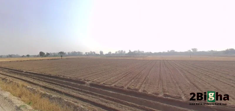 Khagaul, Patna, Bihar, India preview 3