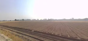 Khagaul, Patna, Bihar, India preview 3