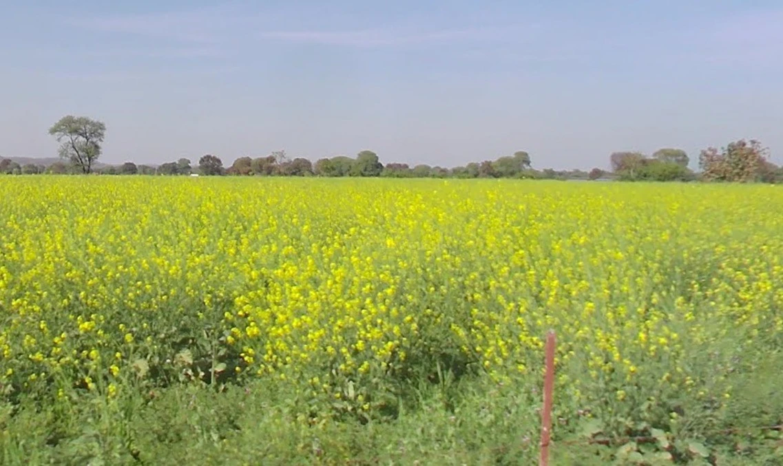 Gautampura, Madhya Pradesh 453220, India