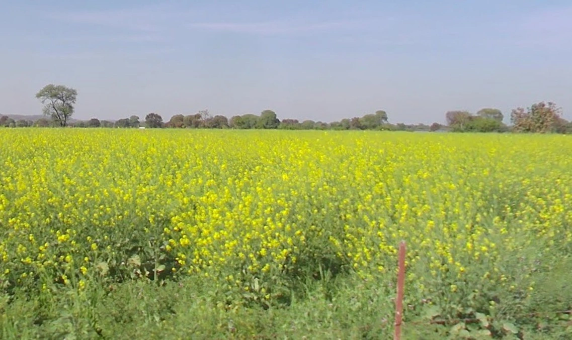 Gautampura, Madhya Pradesh 453220, India