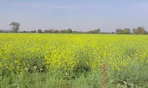 Gautampura, Madhya Pradesh 453220, India preview 3