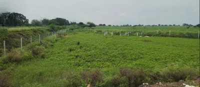 Khamtarai, Chhattisgarh 495006, India preview 2