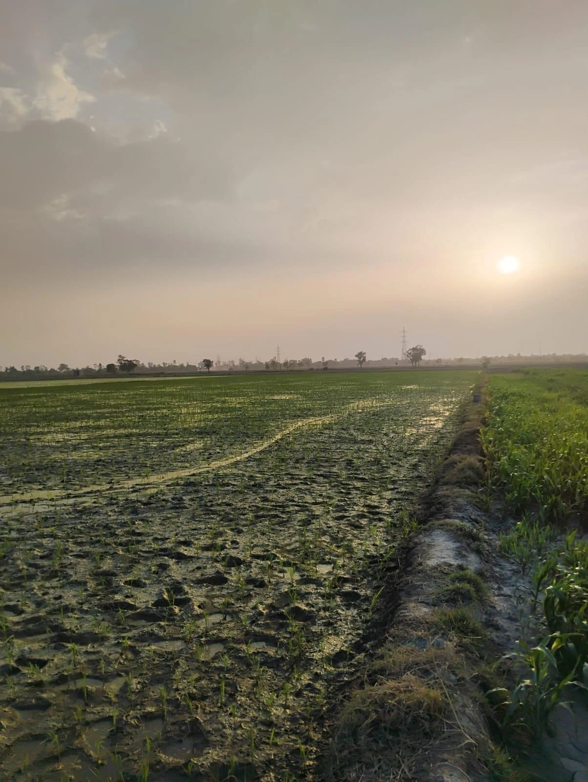 Bishambhara, Uttar Pradesh 281404, India preview 3