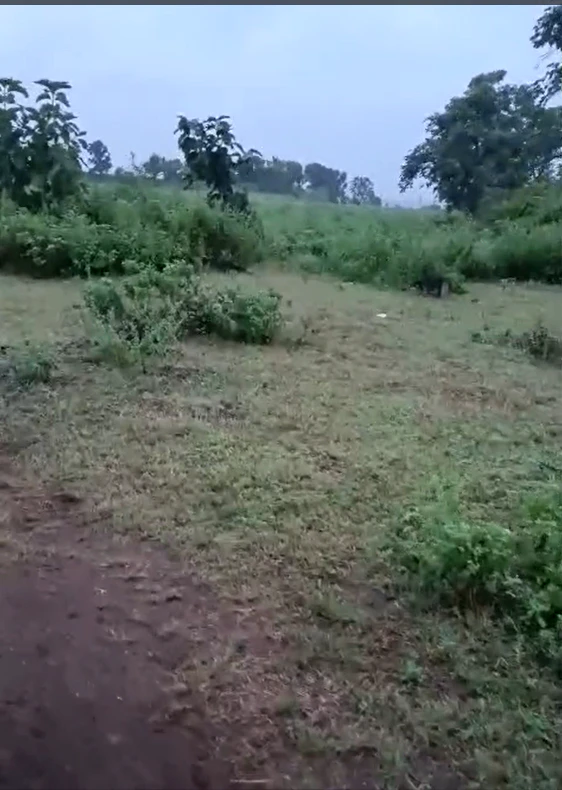 Bhadas, Nuh, Haryana 122108, India