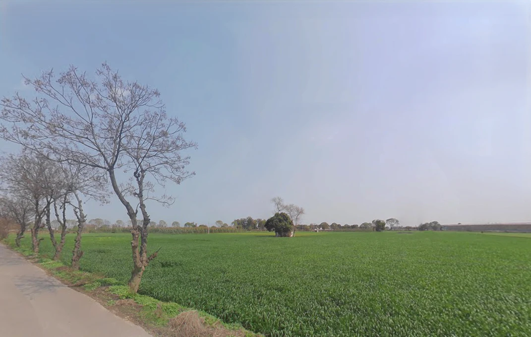 Harsana Kalan, Haryana 131001, India