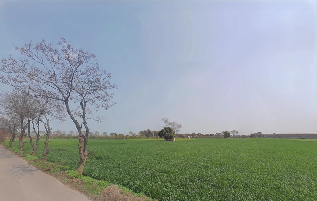 Harsana Kalan, Haryana 131001, India