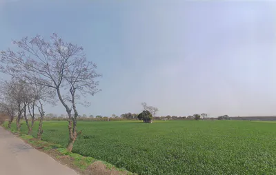 Harsana Kalan, Haryana 131001, India preview 3