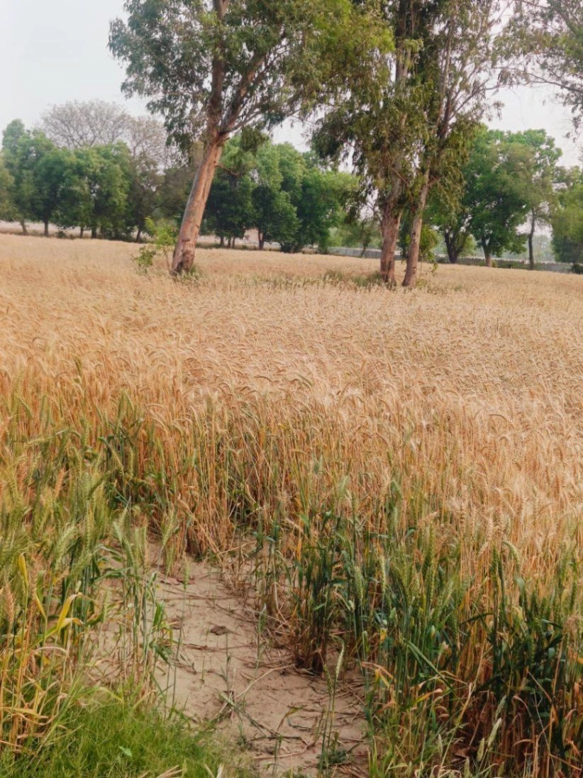 Gharwari, Rajasthan 321201, India