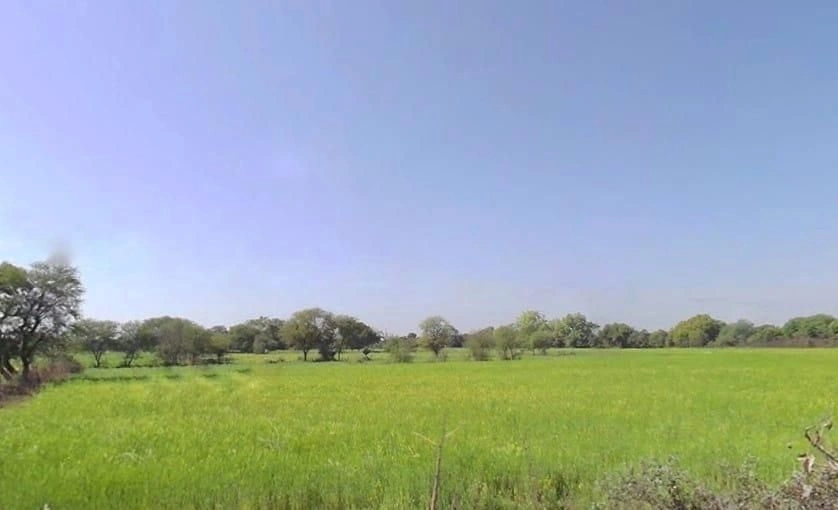 MW9Q+XJ5, Chaksu, Dadanpura, Rajasthan 303901, India preview 2