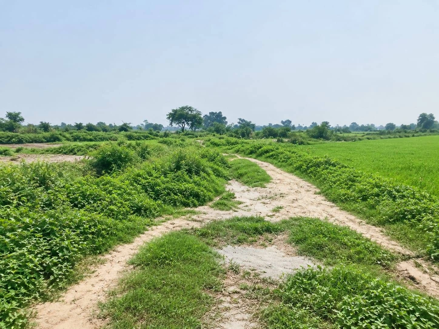 Bari Mahtain, Kanpur Nagar, Uttar Pradesh 209206, India - Photo 3