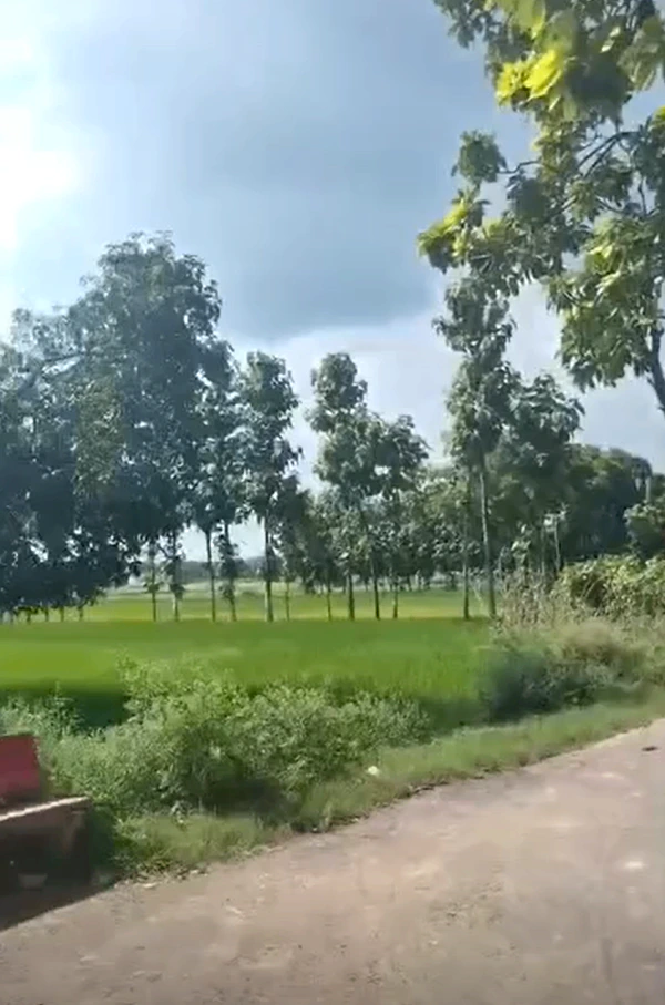 Sanaur, Patiala, Punjab 147103, India