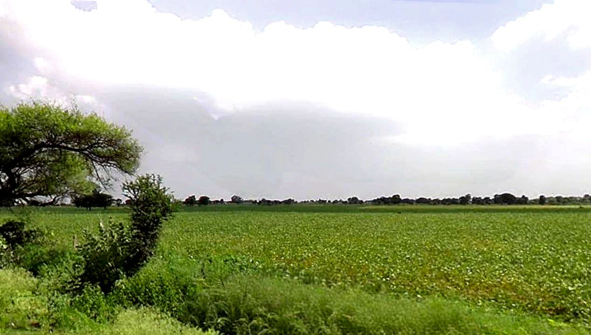 FQJ2+3RP, Jawasyapanth, Madhya Pradesh 456443, India