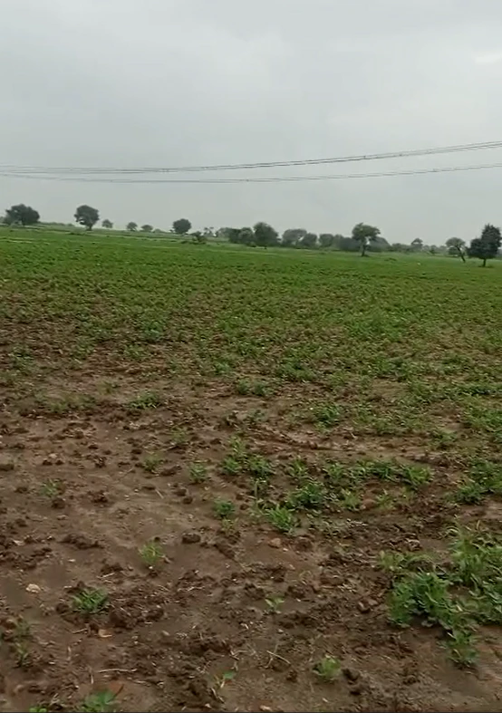 57MQ+5Q6, Chhatarpur, Sarwai, Madhya Pradesh 471525, India