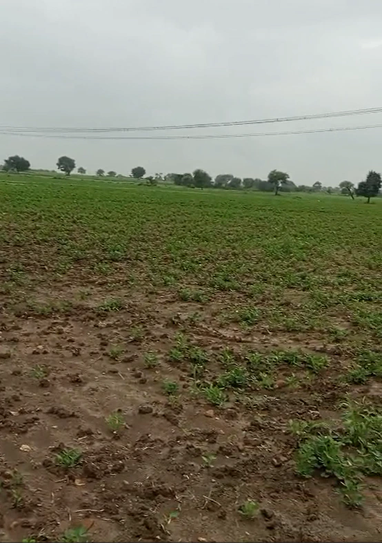 57MQ+5Q6, Chhatarpur, Sarwai, Madhya Pradesh 471525, India