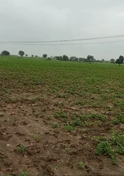 57MQ+5Q6, Chhatarpur, Sarwai, Madhya Pradesh 471525, India preview 2