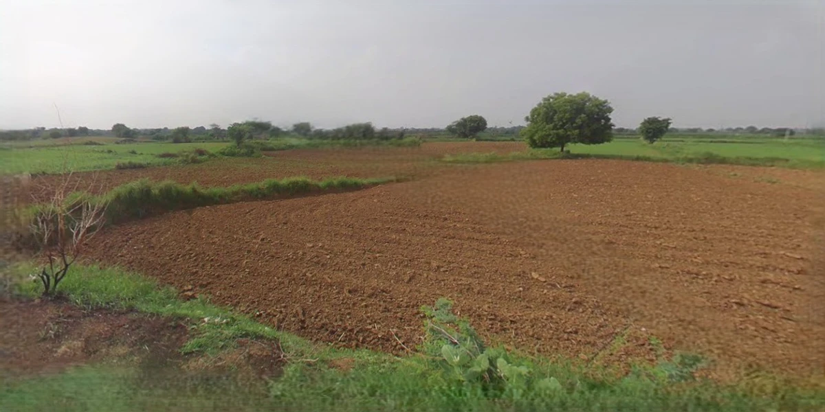 Barnagar, Madhya Pradesh 456771, India