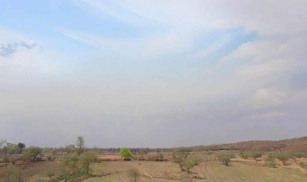 Pithora, Chhattisgarh 493551, India