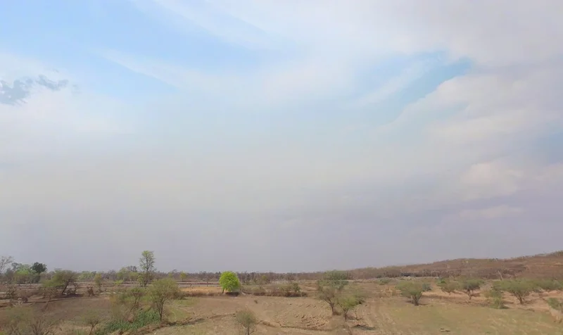 Pithora, Chhattisgarh 493551, India preview 3