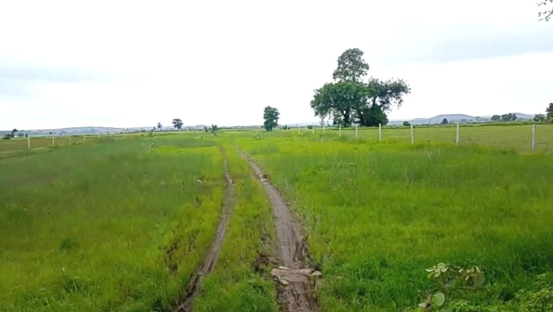 Barethi, Madhya Pradesh 471313, India