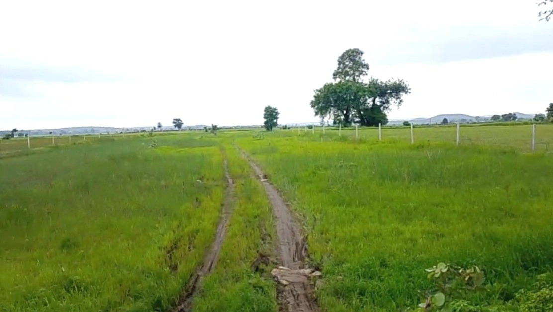 Barethi, Madhya Pradesh 471313, India