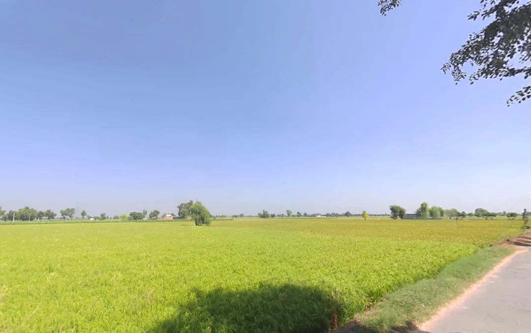 Village Baba Bhuman Shah, Sangar Sadha, Haryana 125054, India preview 2