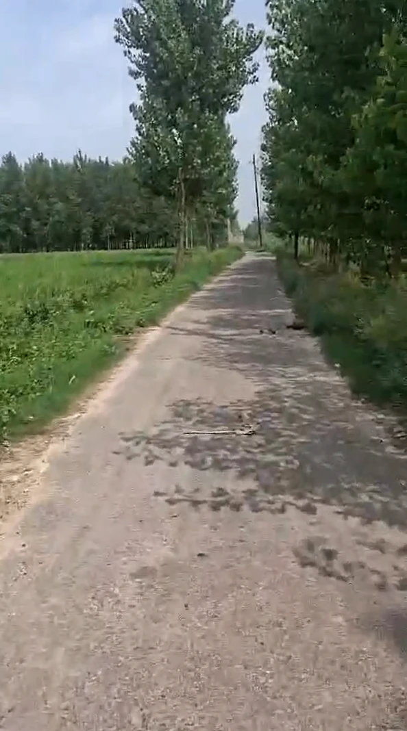 P2W9+C9 Sahaspur, Hapur, Uttar Pradesh, India
