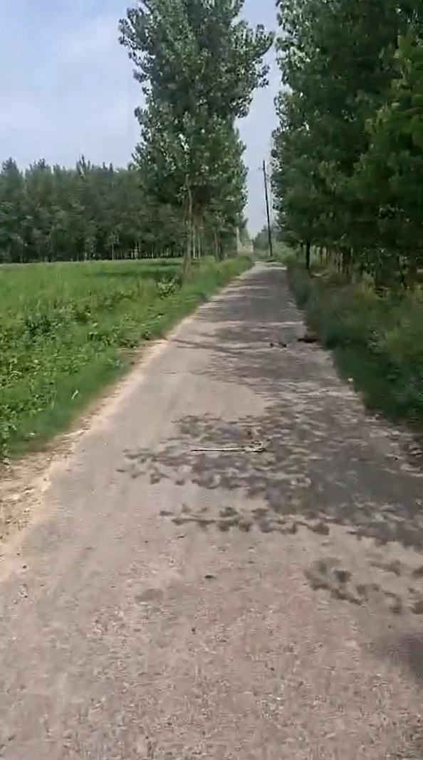 P2W9+C9 Sahaspur, Hapur, Uttar Pradesh, India