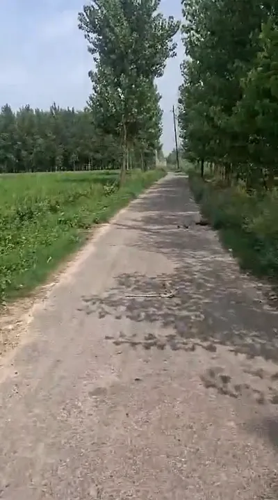 P2W9+C9 Sahaspur, Hapur, Uttar Pradesh, India preview 2
