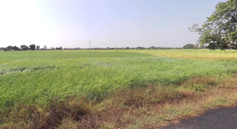 Kothi, Madhya Pradesh 485666, India preview 3