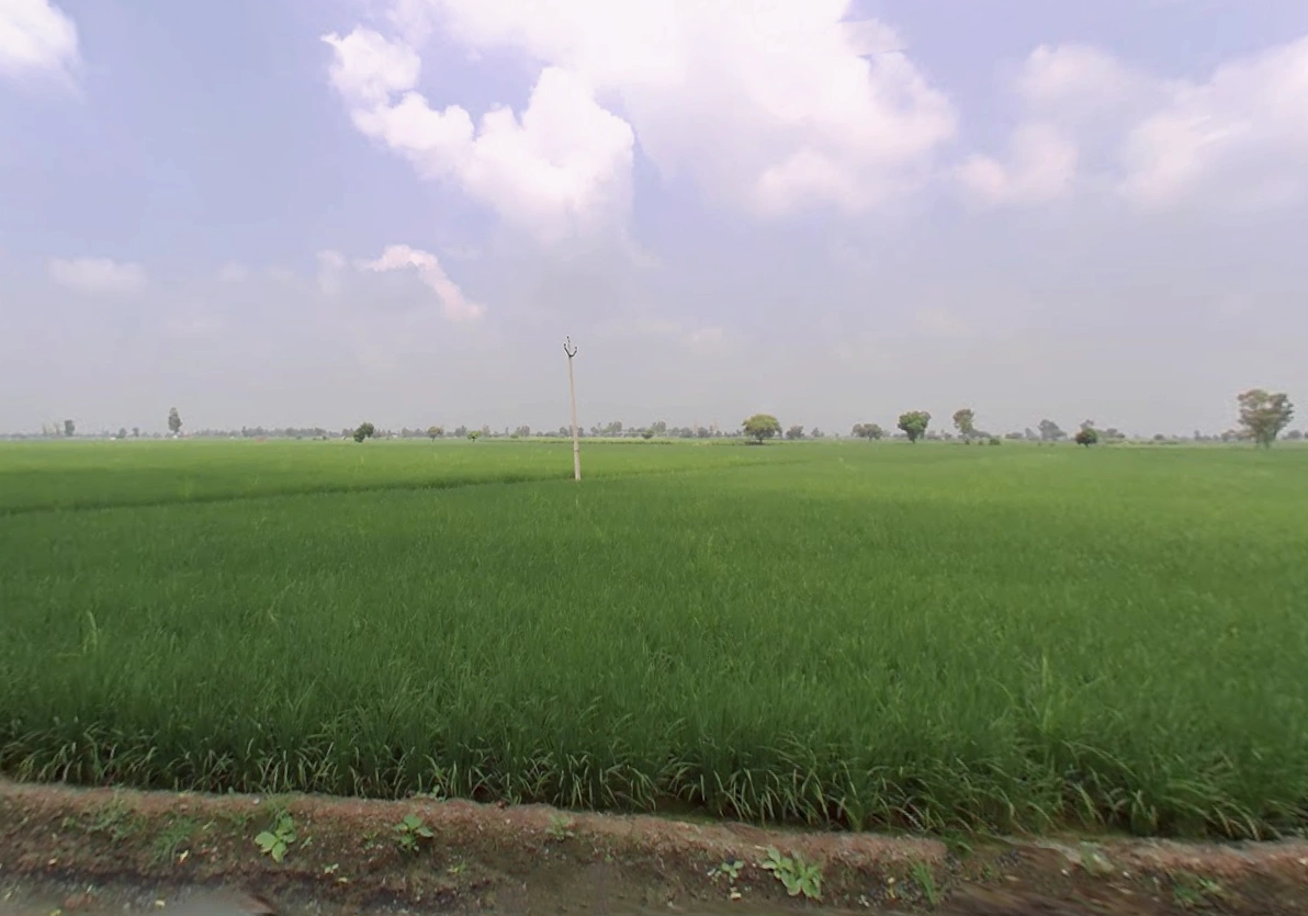 Kalayat, Haryana 136117, India