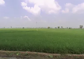 Kalayat, Haryana 136117, India preview 3