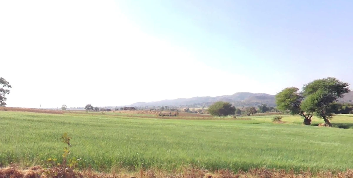 Badipur, Madhya Pradesh 454221, India