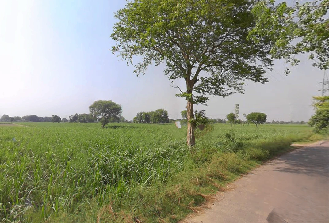 P4QR+MF Alamgirpur, Uttar Pradesh, India