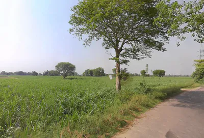 P4QR+MF Alamgirpur, Uttar Pradesh, India preview 3