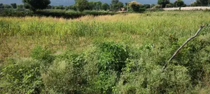 Dadhikar, Rajasthan 301001, India preview 3