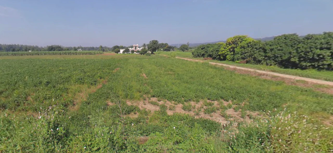 Mukteshwar, Uttarakhand, India preview 3