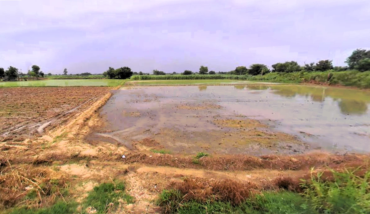 Jassia, Haryana 124303, India