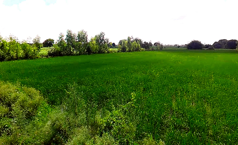 Ismailpur, Uttar Pradesh 202280, India preview 2