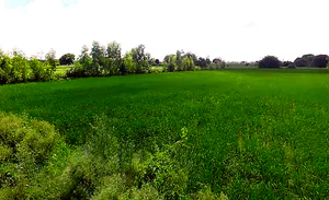 Ismailpur, Uttar Pradesh 202280, India preview 2