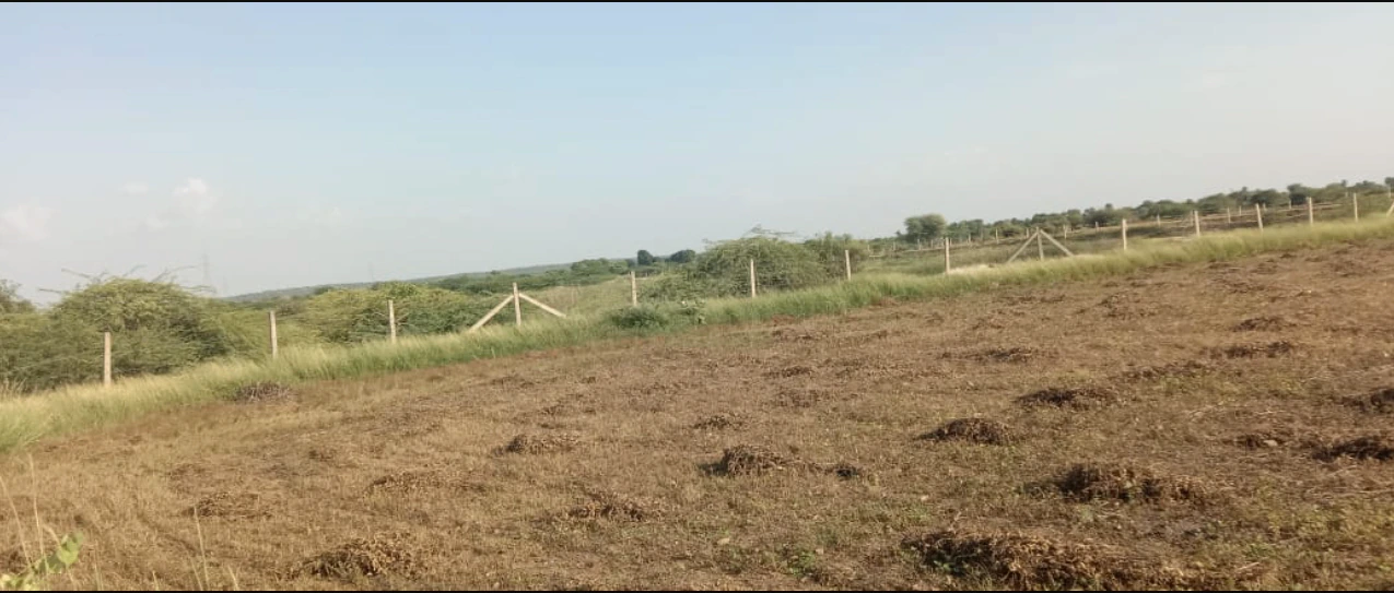 GulabGanj, Madhya Pradesh 464220, India